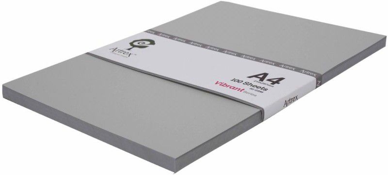 ARTREX Vibrant A4 Color Paper Platinum Vibrant Series 80 GSM 100 Sheets Pack of 2 A4 80 gsm Coloured Paper  (Set of 1, Platinum)