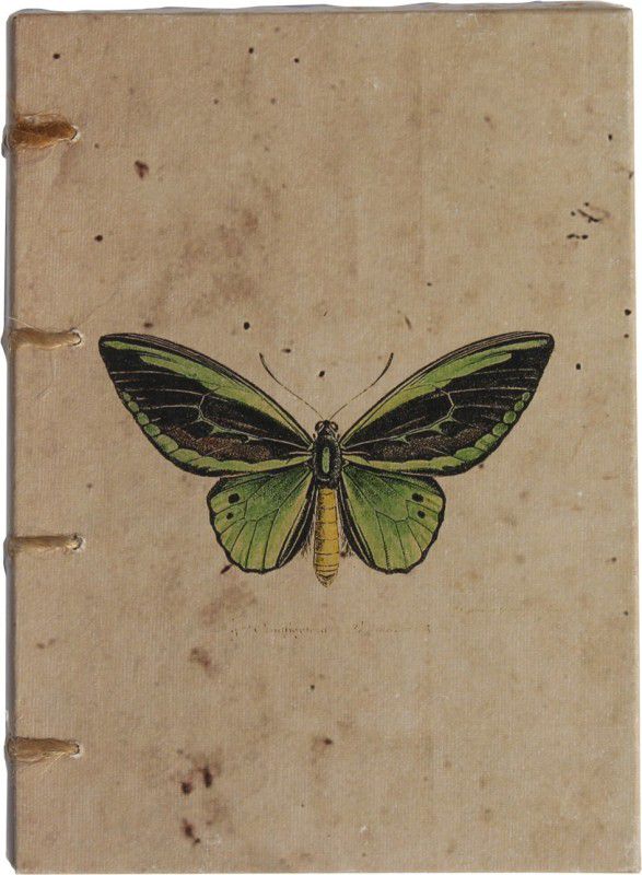 DeKulturework Vintage Butterfly Artwork A6 Journal Unruled 140 Pages  (Multicolor)