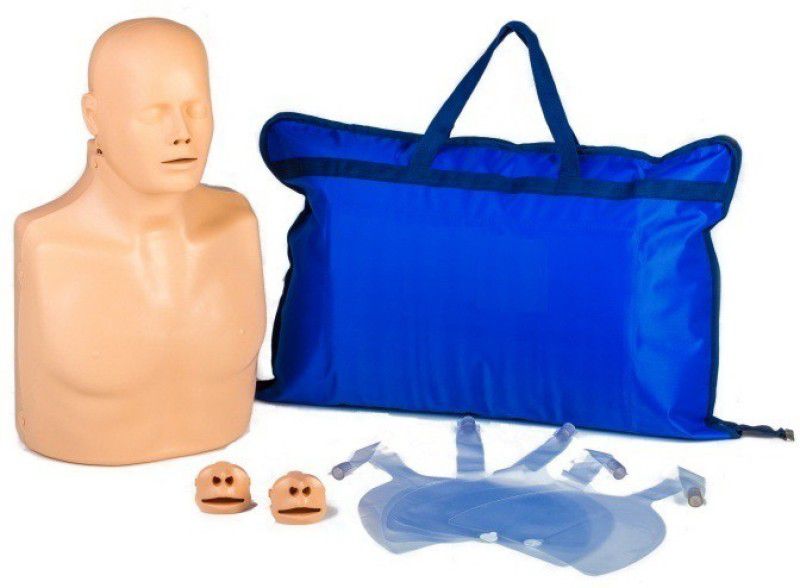 Elite Plus MD01 Anatomical Body Model  (CPR Torso)