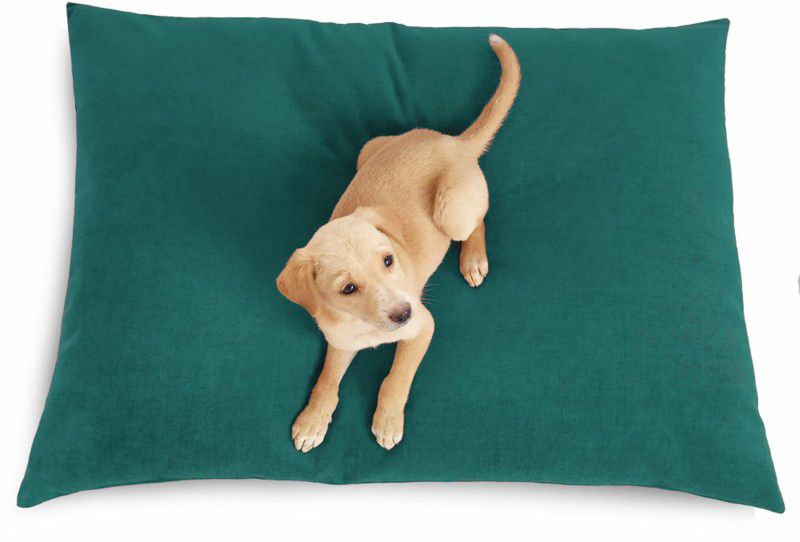 Prazuchi - Handcrafted Perfection B07G3WHHV7-Luxury Waterproof Dog Bed for All Breeds M Pet Bed  (Tiffany Blue)