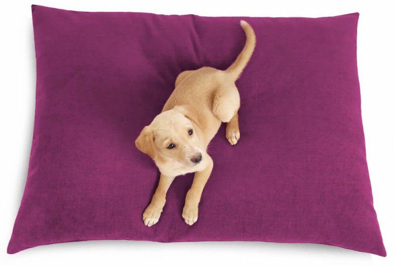 Prazuchi - Handcrafted Perfection B07G3Q51Z6-Luxury Waterproof Dog Bed for All Breeds L Pet Bed  (Purple)