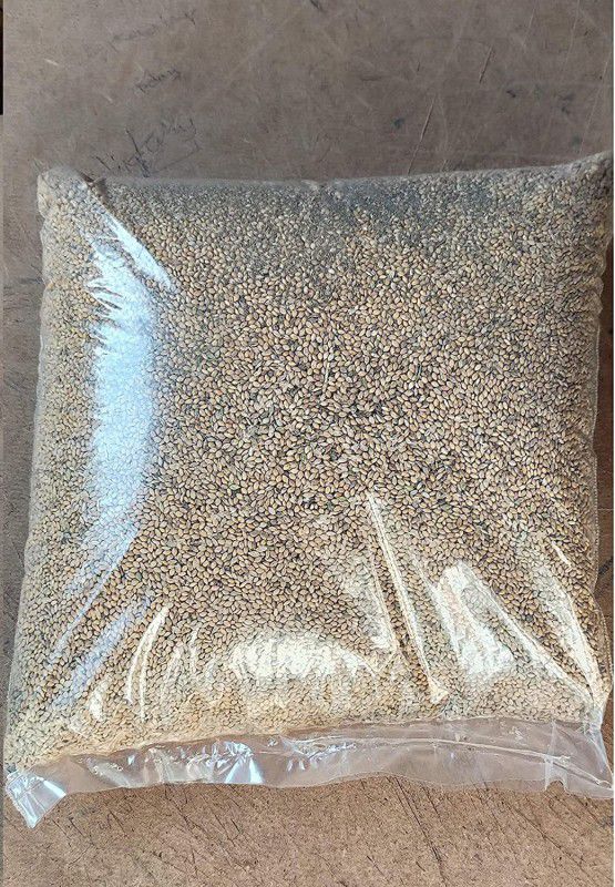 SM Exports kangni Seed Bird Food Foxtail Millet Seeds for Birds 1Kg Vegetable 1 kg Dry Adult, New Born, Young, Senior Bird Food Rice 1 kg Wet Adult, New Born, Senior, Young Bird Food