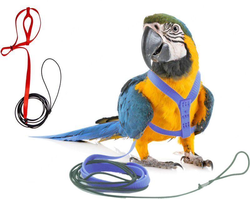 Western Era Bird Harness With Leash, Design for Outdoor Activities for Medium Birds/ Parrot Bird Standard Harness  (Medium, Multicolor)