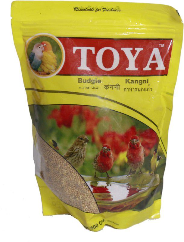 Toya Budgie Kangini Bird Food 0.11 kg Dry Young Bird Food