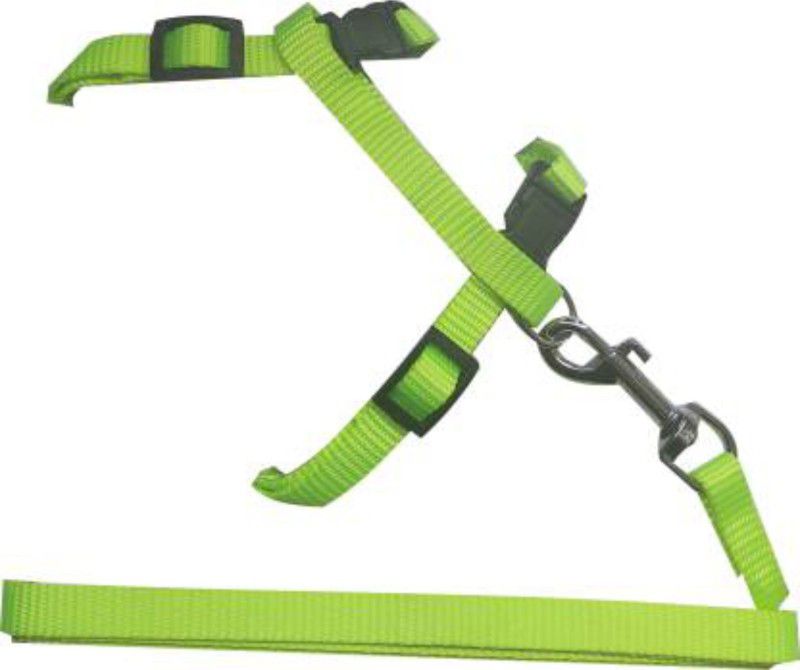 PEDIGONE Pet Nylon Strap Collar with Adjustable Walking Cat Harness & Leash  (Medium, green)