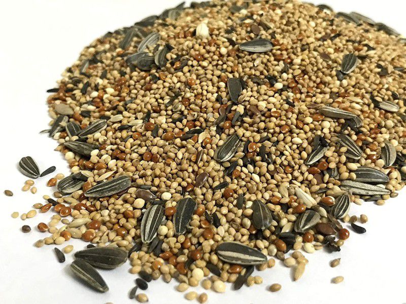 Mix Seeds for all Birds 450gm Nuts 0.45 kg Dry Adult Bird Food