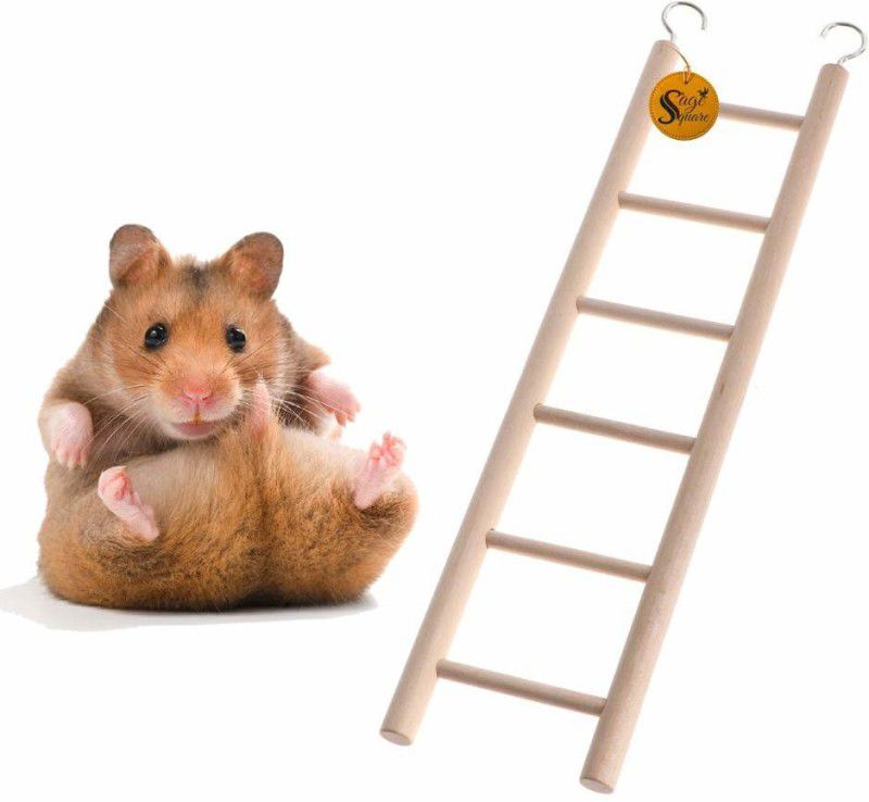 Sage Square Playful Natural Wood Climbing Ladder With Hooks Toy Hamsters, 6 Stairs / 30cm Wooden Stick, Training Aid For Hamster