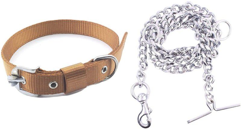 DCM PET MART Dog & Cat Collar & Leash  (Medium, Golden)
