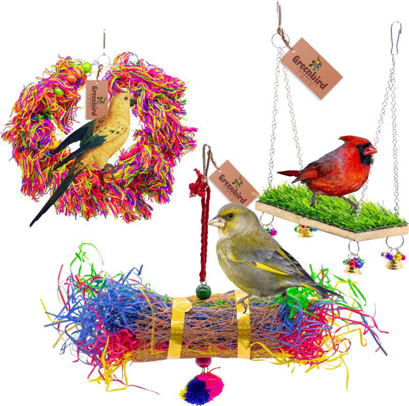 GREENBIRDS Combo Of 3 Bird Toys Swing, Foraging Shredder Toys Cage Hanging Bird & Parrot Wooden Chew Toy, Training Aid, Perch For Bird