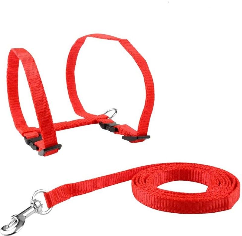 SHAFIRE Cat Harness Leash Nylon Set for Cat Rabbit Kitten and Small Pet Nylon Harness Strap Collar /Cat Training Leash Lead (Red) Cat Harness & Chain  (Small, Red)