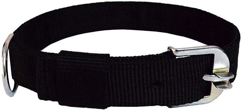 Sage Square Adjustable Double Strip Collar for Small Dog / Cat / Puppy / Kitten (0.75 Inches) Plain Dog Collar Charm  (Black, Round)