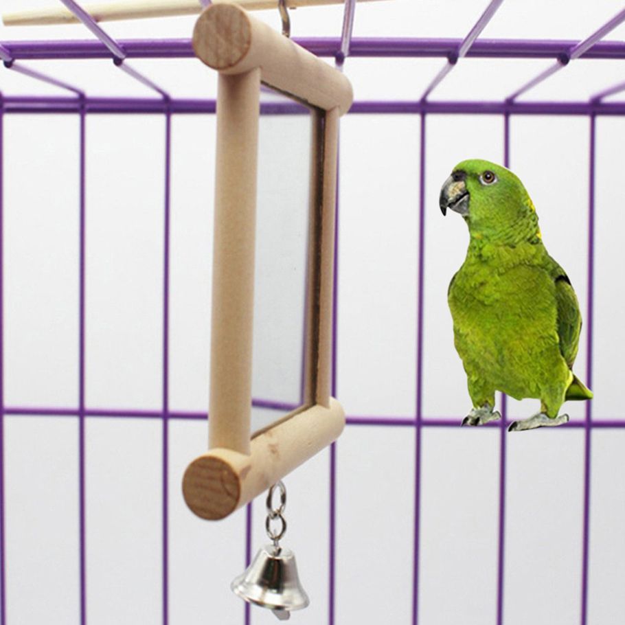 Pet Bird Parrot Bell Mirror Hanging Cage Wood Stand Perch Interactive Play Toy