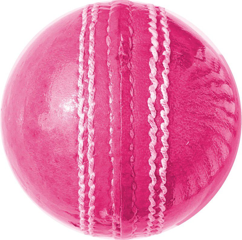 Fervor Spel Genuine Leather 4 Piece Cricket Leather Ball  (Pack of 1, Pink)