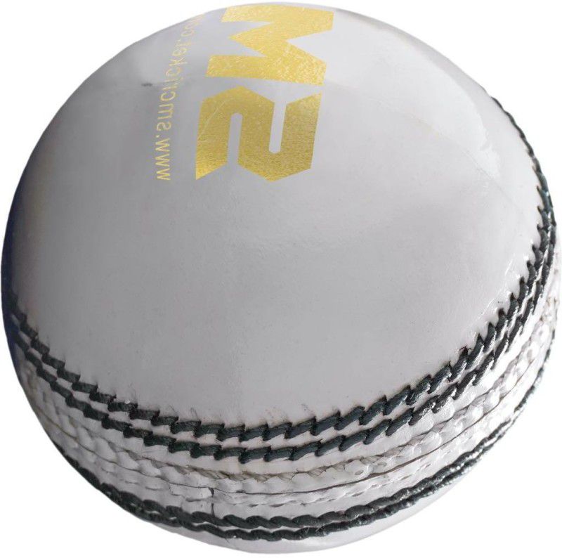 SM Super Test Level Cricket Leather Ball  (Pack of 1, White)