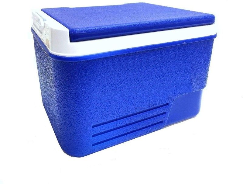 Randal Multipurpose Insulated ( 6 L ) Ice Box ( Blue )  (Blue, White, 6 L)