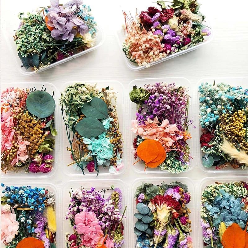 1 Box Real Dried Flower Dry Plants  For Aromatherapy Candle Epoxy Resin Pendant Necklace Jewelry Making Dried Flower Box Resin Craft Craft DIY Accessories
