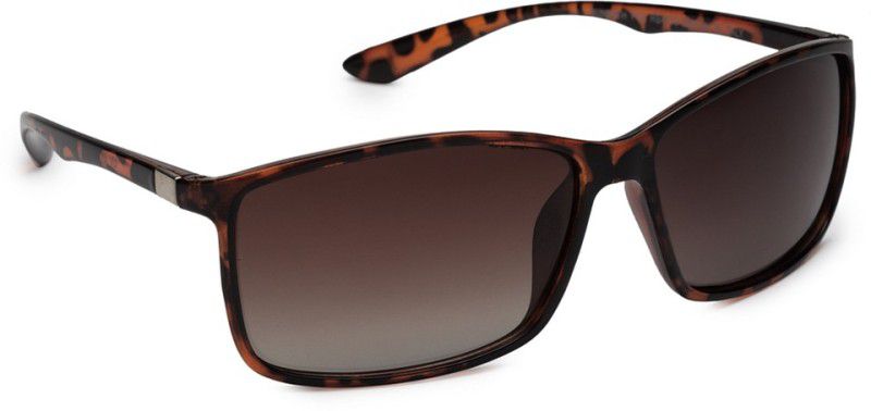Polarized Rectangular Sunglasses (65)  (For Men & Women, Brown)