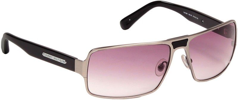 Aviator Sunglasses (Free Size)  (For Men, Violet)