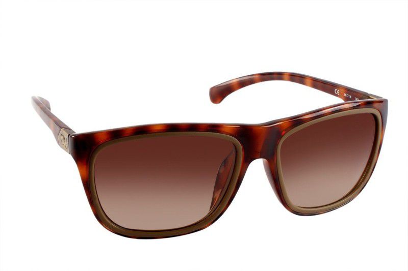 Gradient Wayfarer Sunglasses (58)  (For Men & Women, Brown)