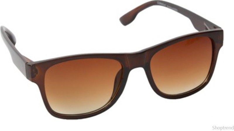 Wayfarer Sunglasses  (For Men & Women, Brown, Multicolor)