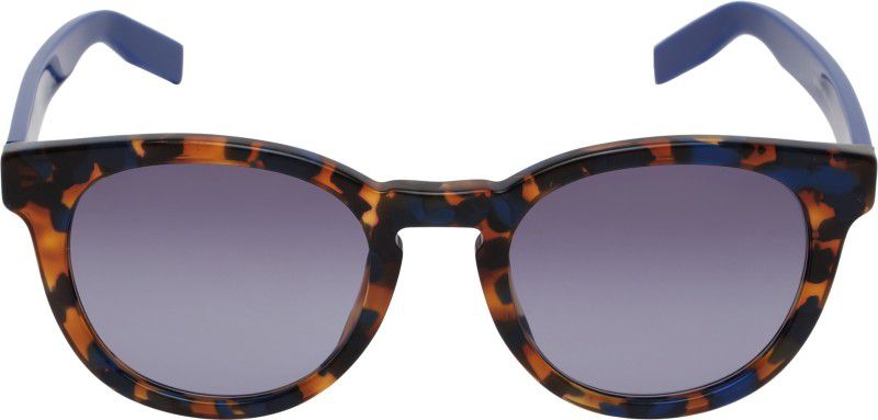 Gradient Retro Square Sunglasses (Free Size)  (For Women, Grey)