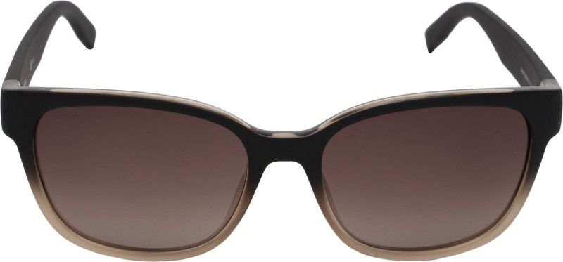 Gradient Retro Square Sunglasses (Free Size)  (For Women, Brown)