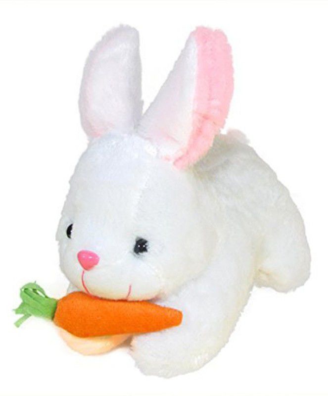 ANU TOYS Rabbit with carrot soft Push Toys For Kids - 22.9 cm (White) - 22 cm  (White)