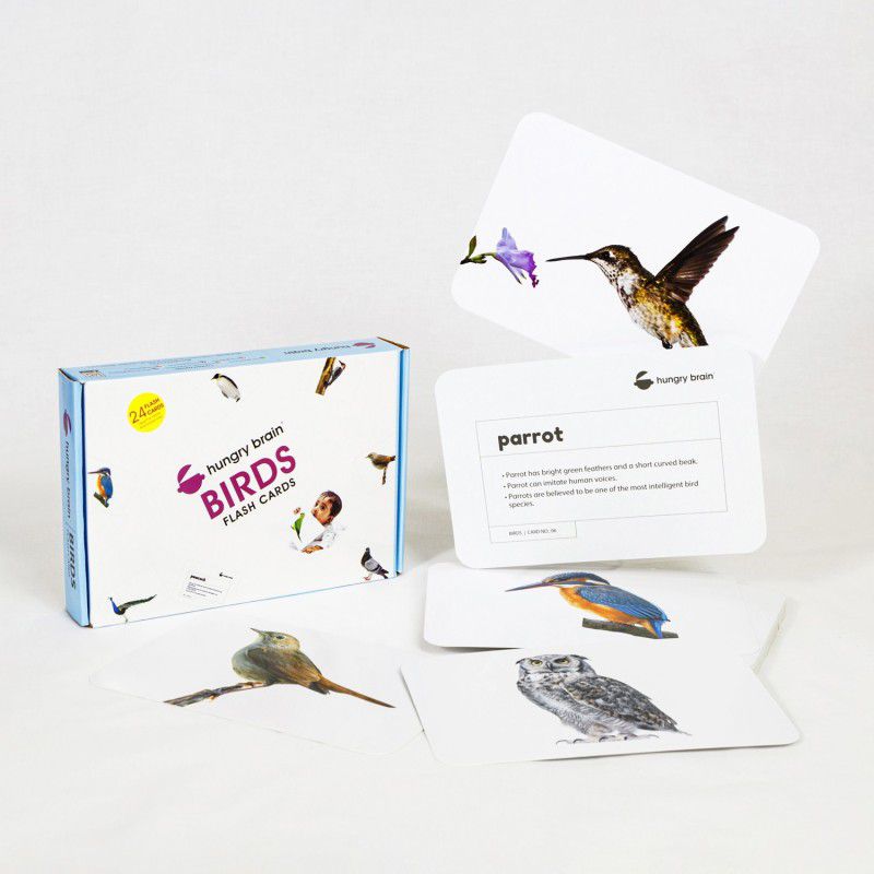 hungry brain names of BIRDS flash cards- A fun way to learn for kids - 1yr-6 yrs  (Purple, White)