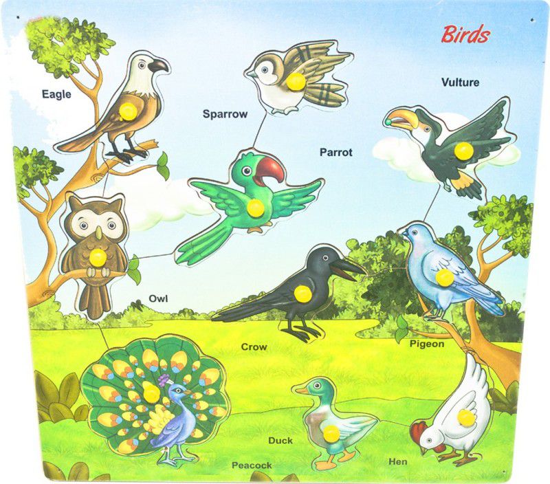 Toyvala WOODEN VARIOUS BIRDS SPECIES EASY TO LEARN LEARNING EDUCATIONAL BOARD  (Multicolor)