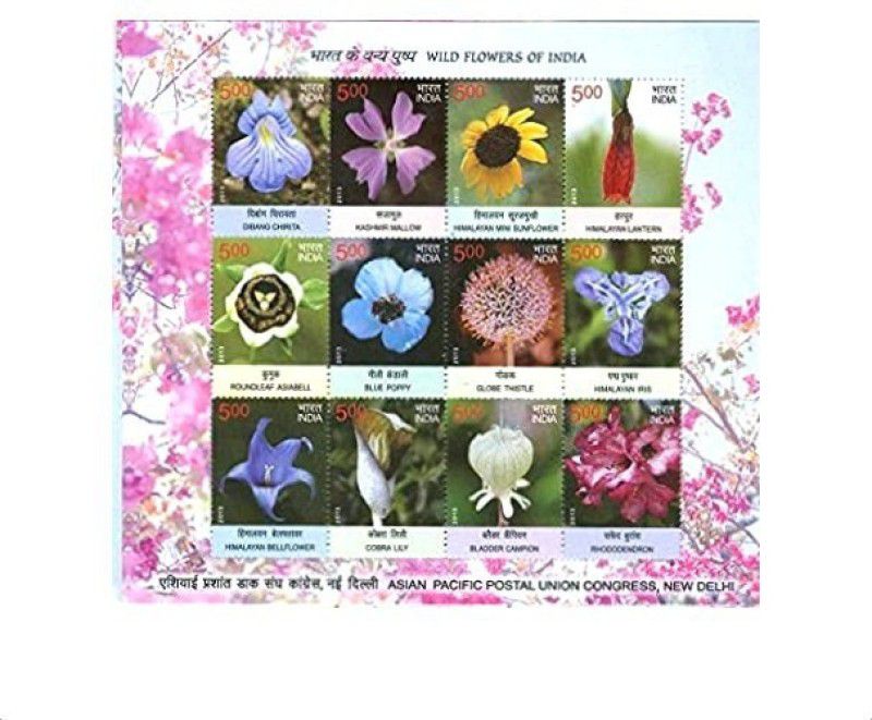 Phila Hub 2013-Wild Flowers SHEETLET MNH Condition Stamp Page Sheet  (12 Stamps)