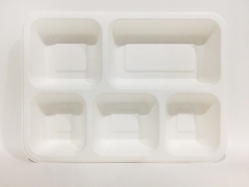 Ambassador TWI- Biodegradable Disposable Sugarcane Bagasse Paper Pulp Molded Rectangular Meal Tray 5 Compartment (Eco friendly) Pack of 25 Dinner Plate  (Pack of 25, Microwave Safe)