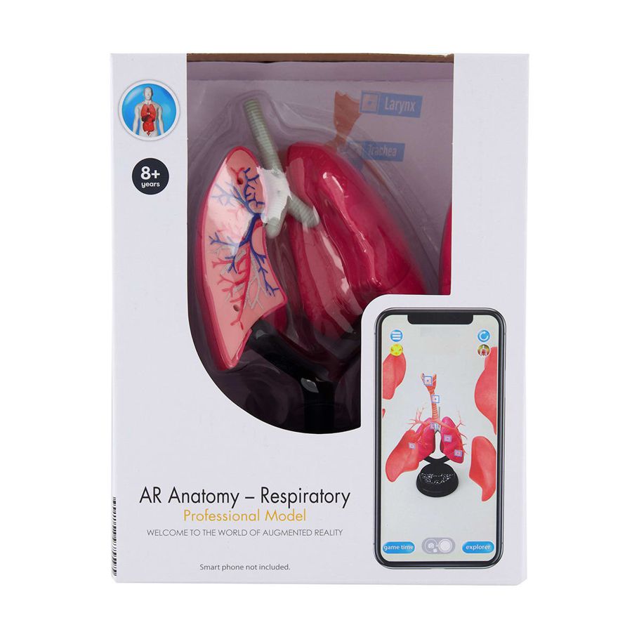 AR Anatomy Professional Model - Respiratory
